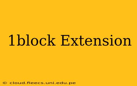1block Extension