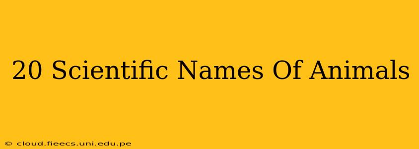 20 Scientific Names Of Animals