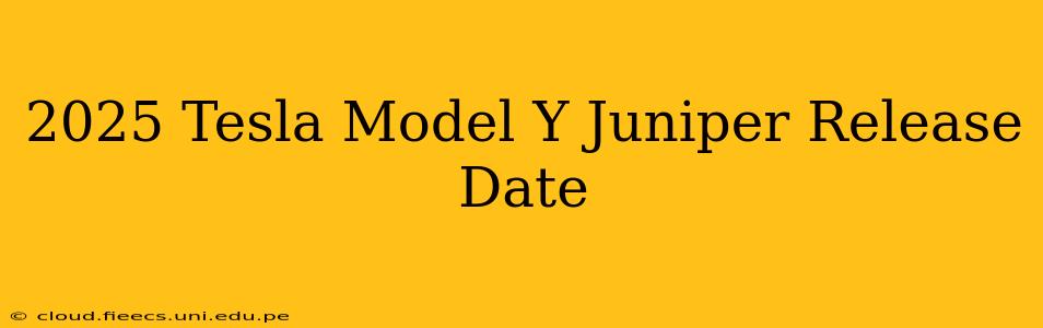 2025 Tesla Model Y Juniper Release Date