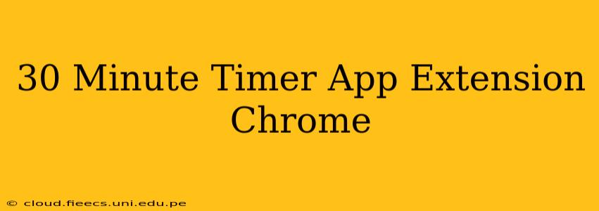 30 Minute Timer App Extension Chrome
