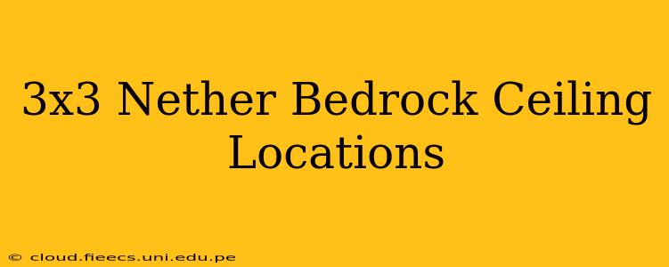 3x3 Nether Bedrock Ceiling Locations