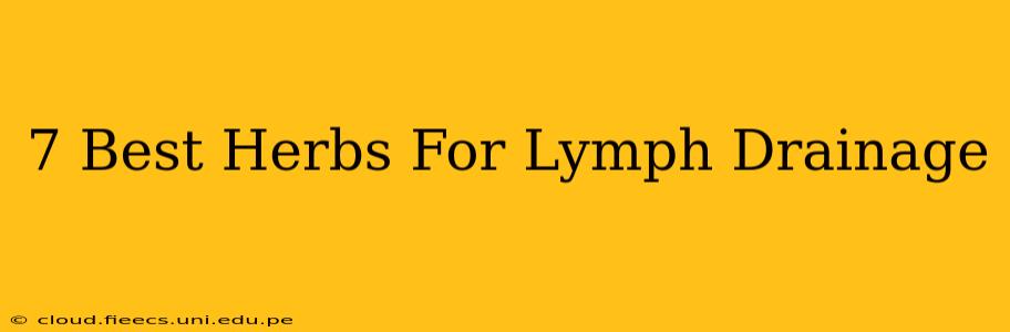 7 Best Herbs For Lymph Drainage