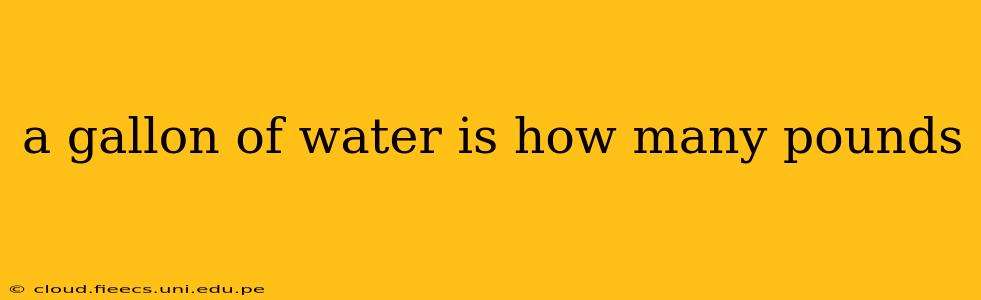 a gallon of water is how many pounds
