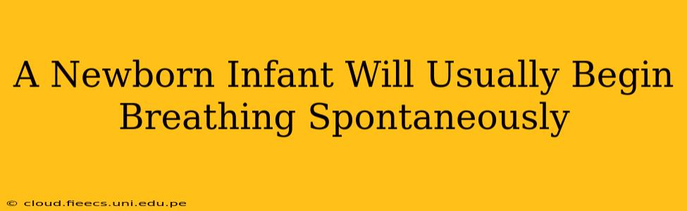 A Newborn Infant Will Usually Begin Breathing Spontaneously