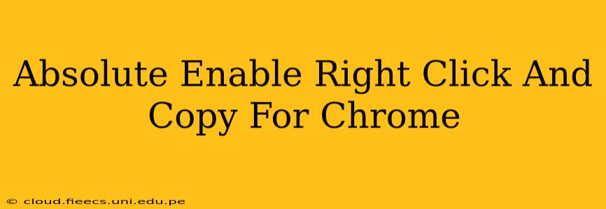 Absolute Enable Right Click And Copy For Chrome