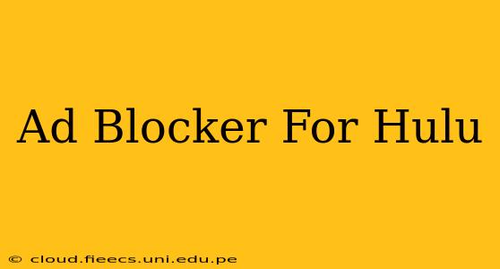 Ad Blocker For Hulu