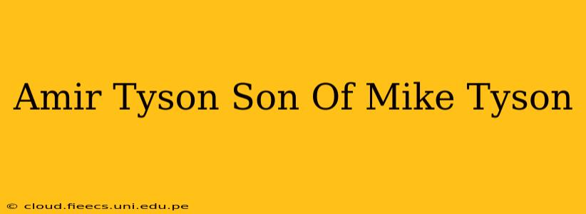 Amir Tyson Son Of Mike Tyson