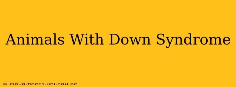 Animals With Down Syndrome
