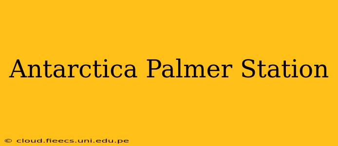 Antarctica Palmer Station