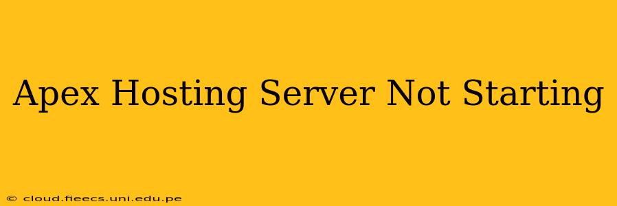 Apex Hosting Server Not Starting