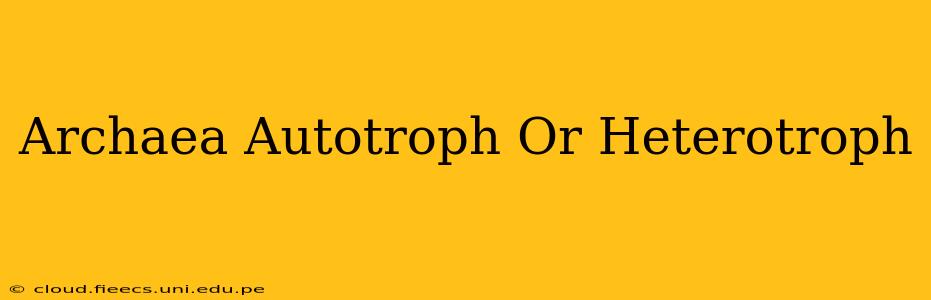 Archaea Autotroph Or Heterotroph