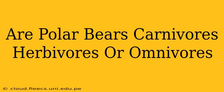 Are Polar Bears Carnivores Herbivores Or Omnivores