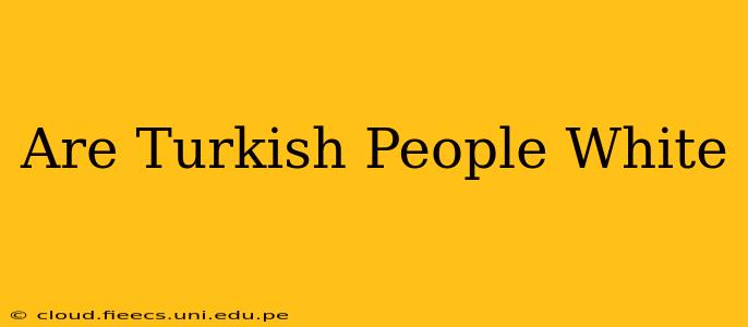 Are Turkish People White