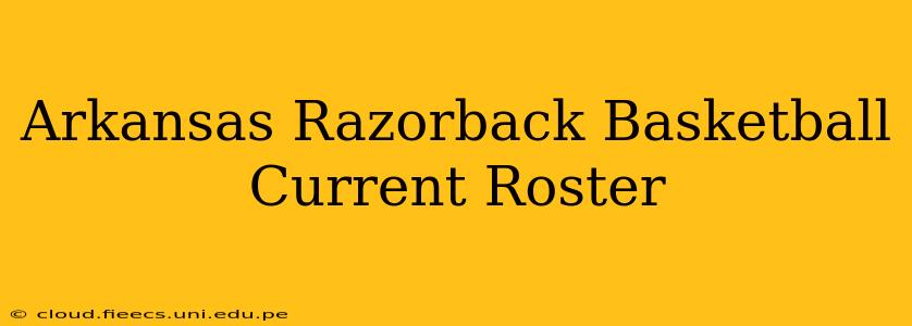 Arkansas Razorback Basketball Current Roster