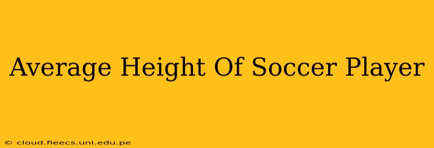 Average Height Of Soccer Player