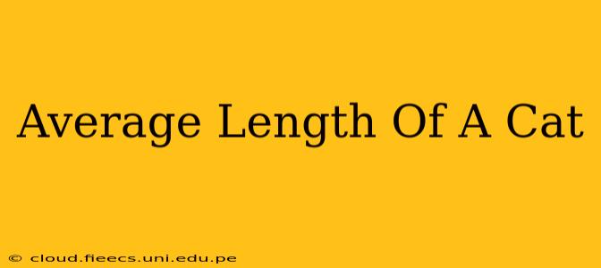 Average Length Of A Cat