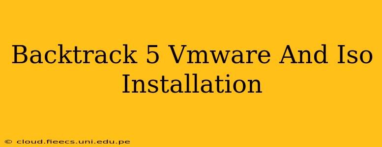 Backtrack 5 Vmware And Iso Installation