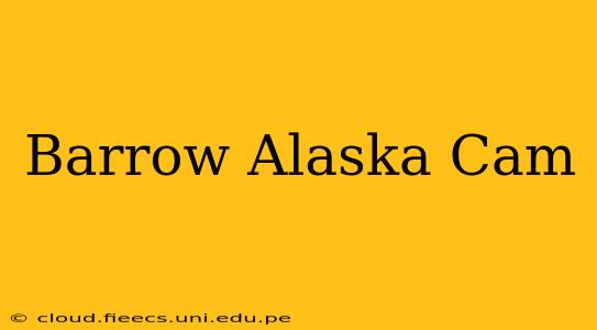 Barrow Alaska Cam