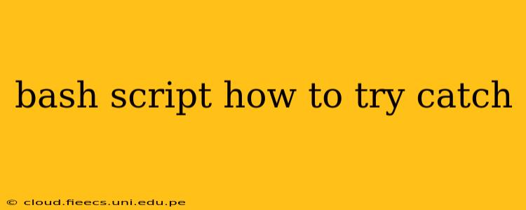 bash script how to try catch