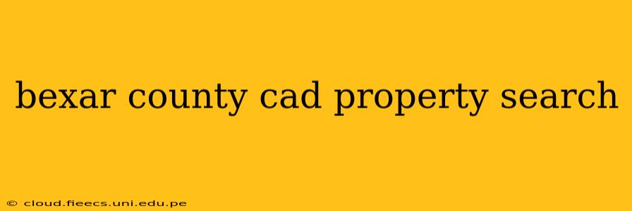 bexar county cad property search