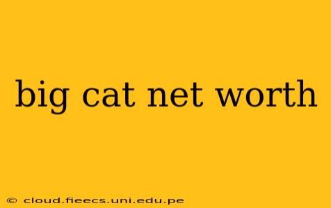 big cat net worth