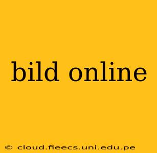 bild online