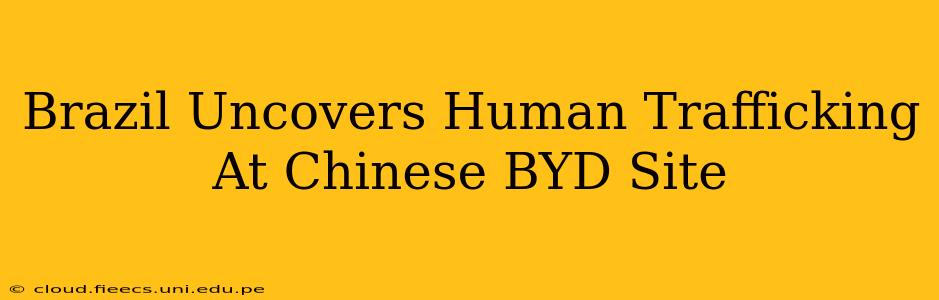 Brazil Uncovers Human Trafficking At Chinese BYD Site