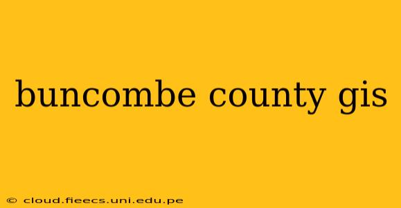 buncombe county gis