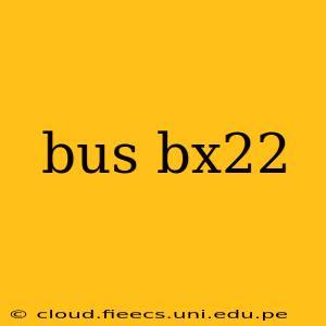 bus bx22