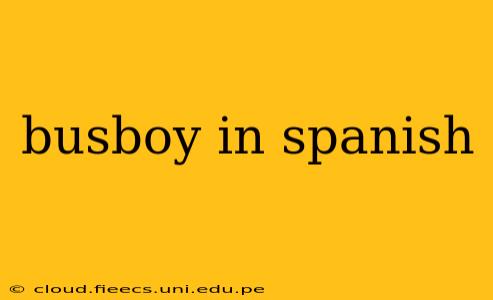 busboy in spanish