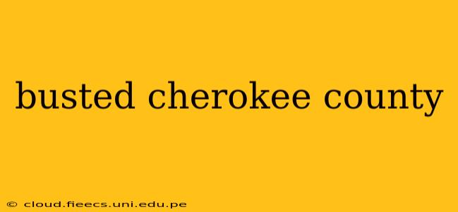 busted cherokee county