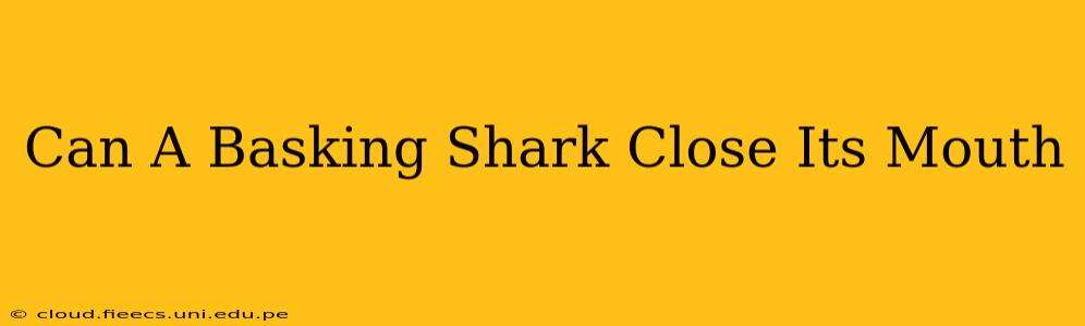 Can A Basking Shark Close Its Mouth