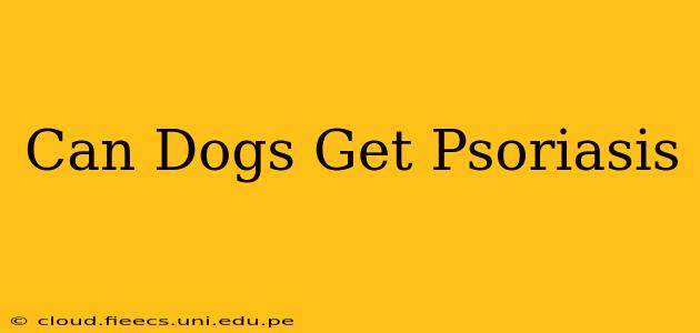 Can Dogs Get Psoriasis