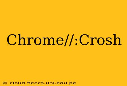 Chrome//:Crosh