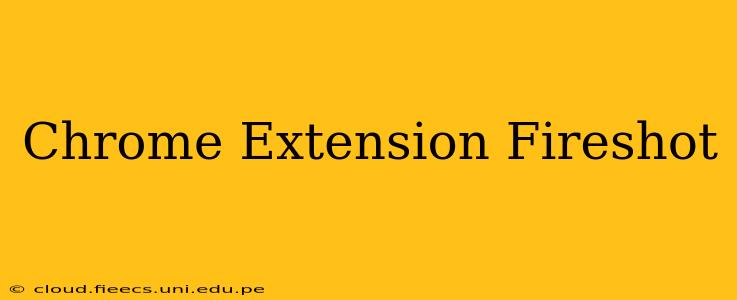 Chrome Extension Fireshot