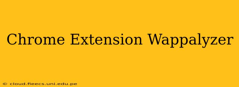 Chrome Extension Wappalyzer