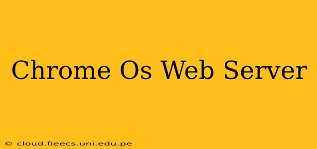 Chrome Os Web Server