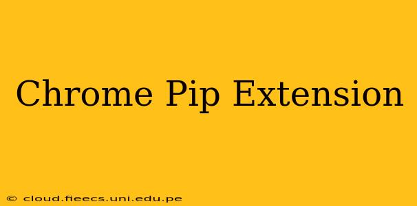 Chrome Pip Extension