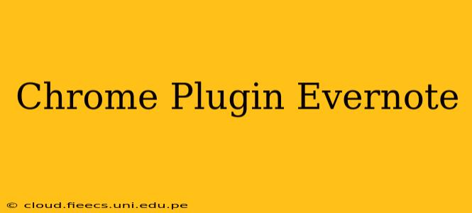 Chrome Plugin Evernote