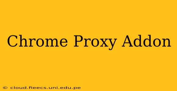 Chrome Proxy Addon