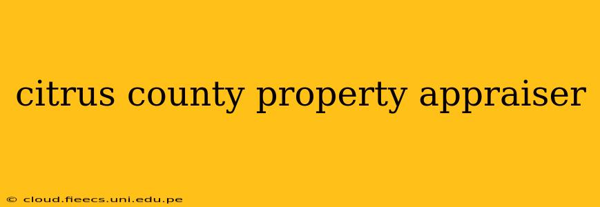 citrus county property appraiser