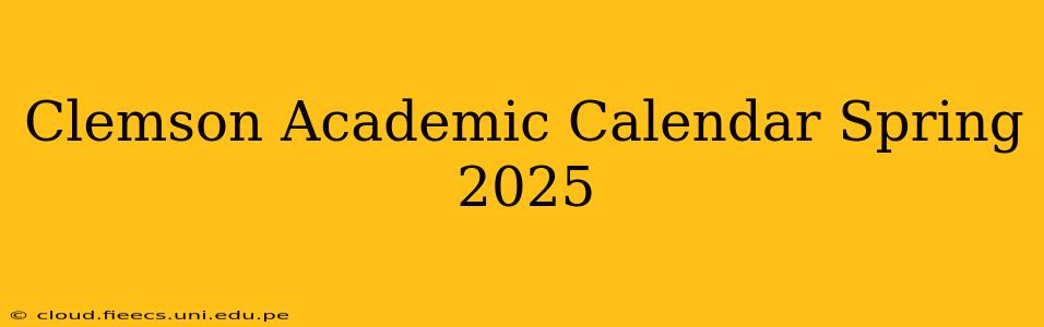 Clemson Academic Calendar Spring 2025