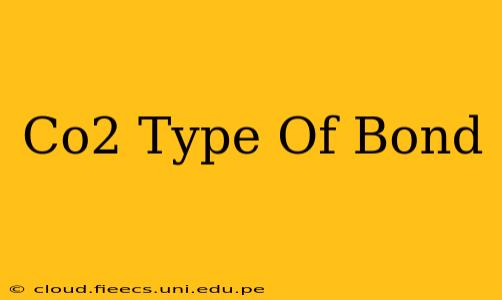 Co2 Type Of Bond
