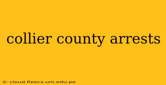 collier county arrests