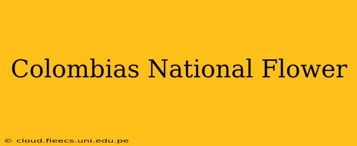 Colombias National Flower