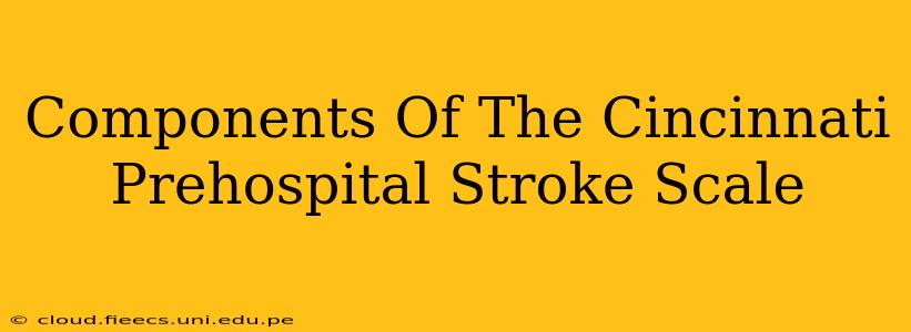 Components Of The Cincinnati Prehospital Stroke Scale