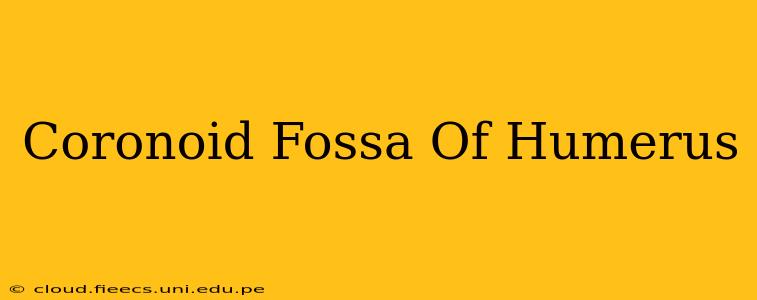 Coronoid Fossa Of Humerus
