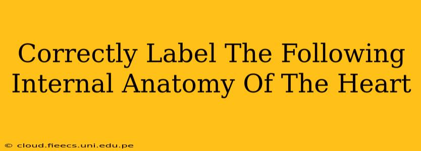 Correctly Label The Following Internal Anatomy Of The Heart