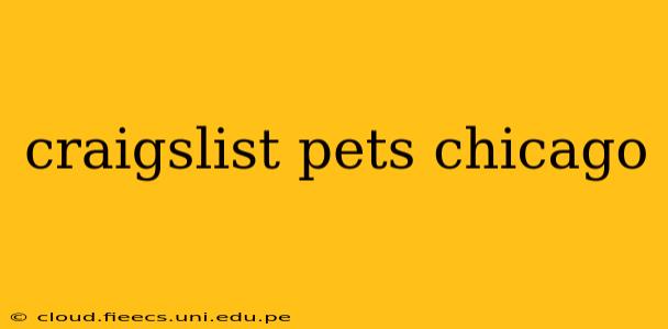 craigslist pets chicago