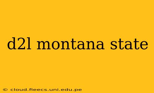 d2l montana state